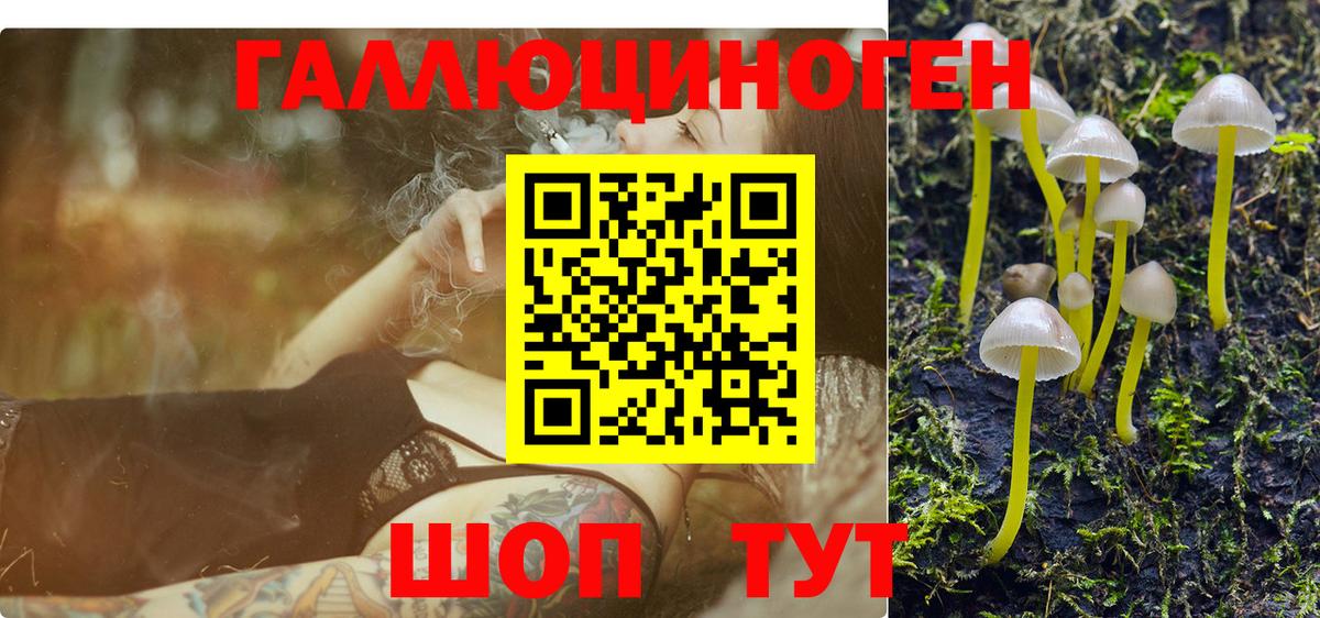 Псилоцибиновые грибы Magic Shrooms  Вход с VPN  Гусев 
