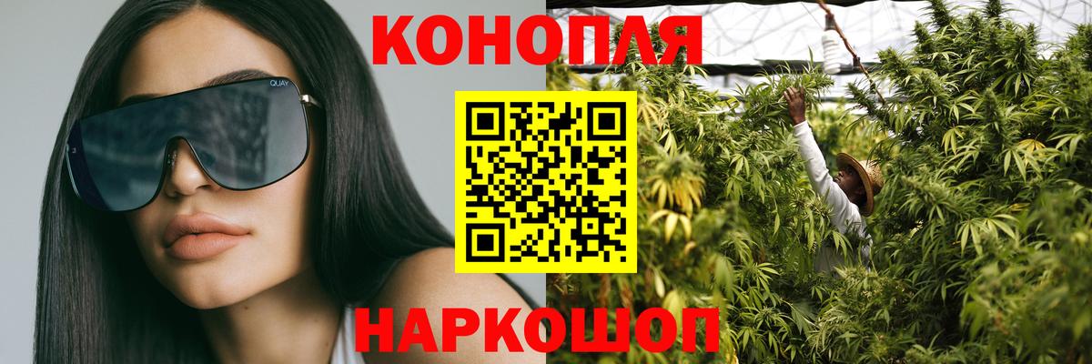 Шишки марихуана марихуана Гусев